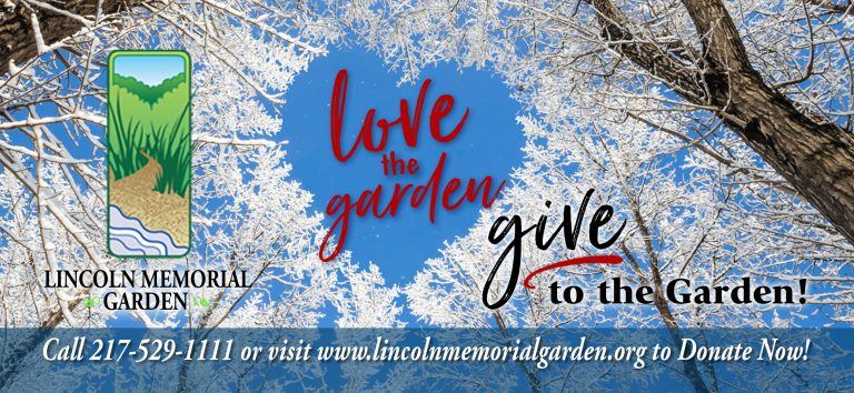 WINTER-LOVE-the-GARDEN-web-slider-1950-x-900-1-768x354.jpg