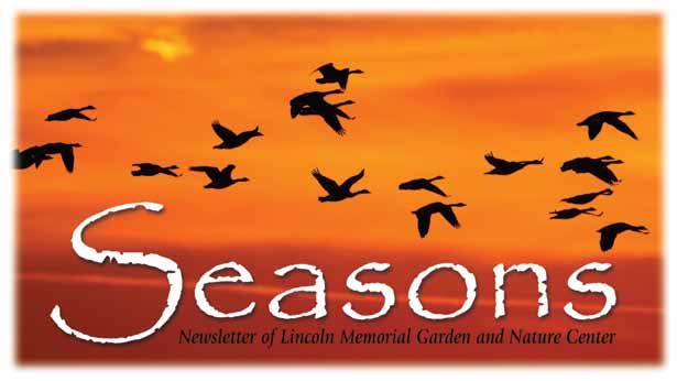 seasons-fall-masthead.jpg